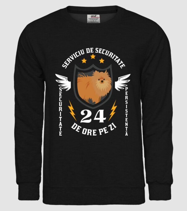 serviciu de securitate - securitate - persistență - 24 de ore pe zi model negru pe tricou