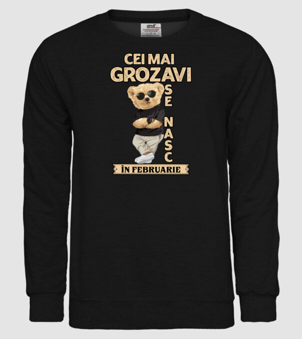 Teddy cel cool februarie model negru pe tricou