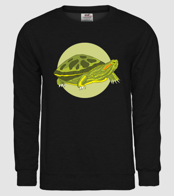 Turtle model negru pe tricou