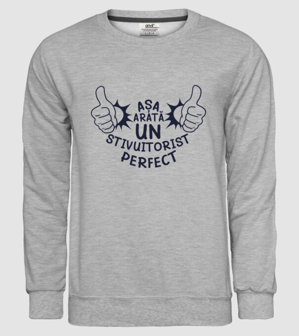 Așa arată un STIVUITORIST perfect model gri pe tricou