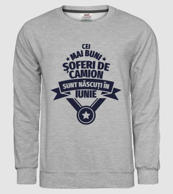 Cei mai buni șoferi de camion sunt născuți în Iunie model gri pe tricou