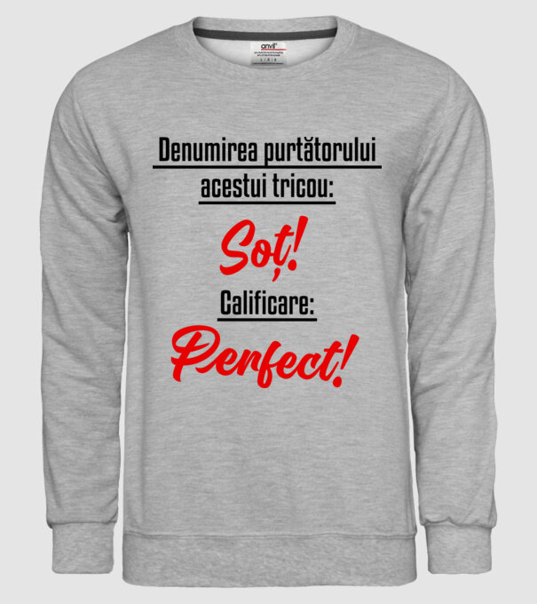 Denumirea purtătorului acestui tricou: Soț! Calificare: Perfect! model gri pe tricou