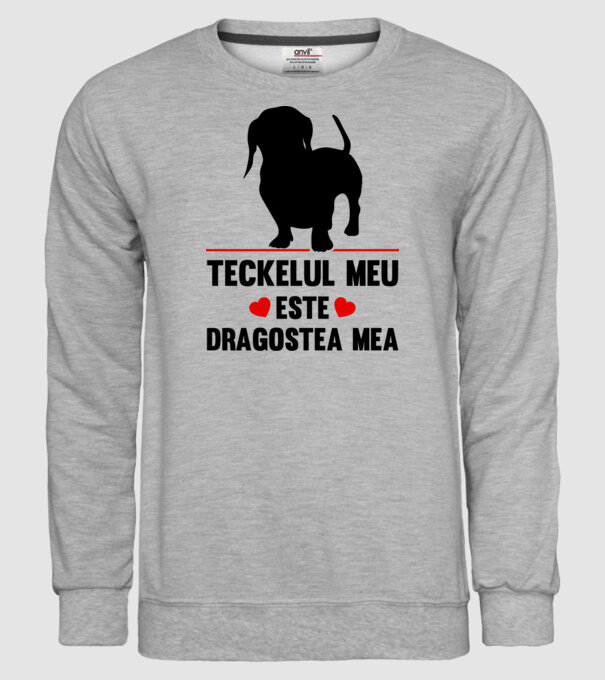 teckelul meu este dragostea mea model gri pe tricou
