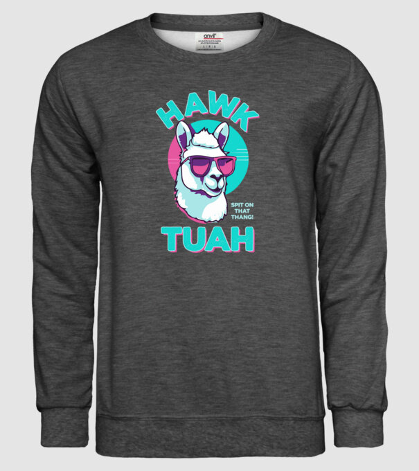 Hawk tuah llama retro sunglasses model gri închis pe tricou