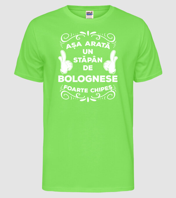 Așa arată un stăpân de Bolognese foarte chipeș model verde neon pe tricou