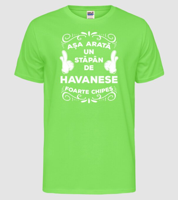 Așa arată un stăpân de Havanese foarte chipeș model verde neon pe tricou