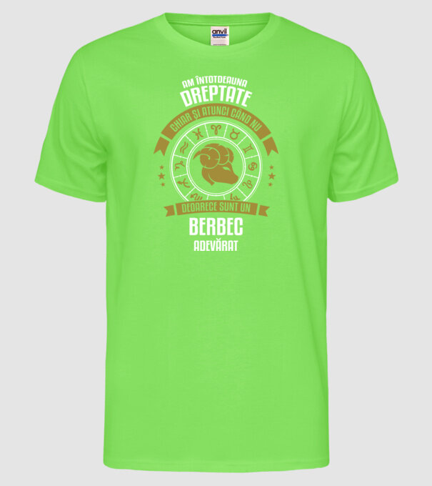 Întotdeauna am dreptate. Chiar și atunci, când nu am, deoarece sunt din berbec. model verde neon pe tricou