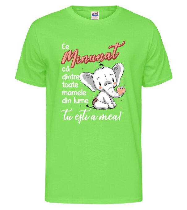  model  pe tricou