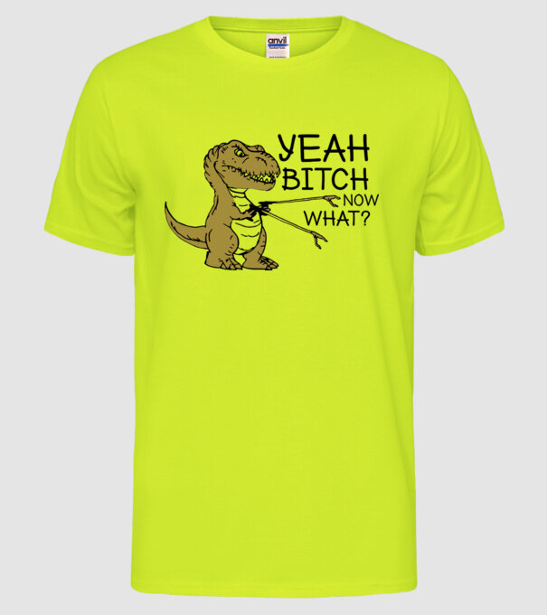 Yeah bitch now what model galben neon pe tricou