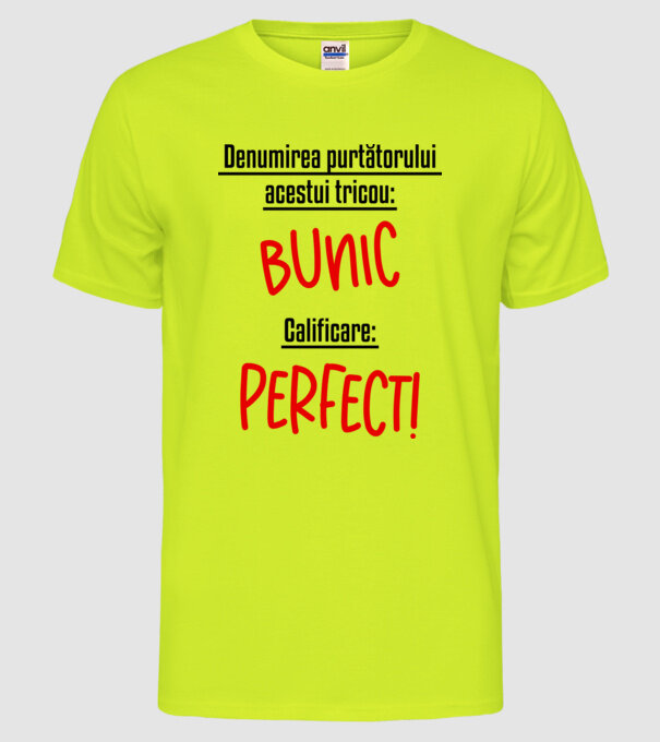 Denumirea purtătorului acestui tricou: bunic! Calificare: Perfect! model galben neon pe tricou