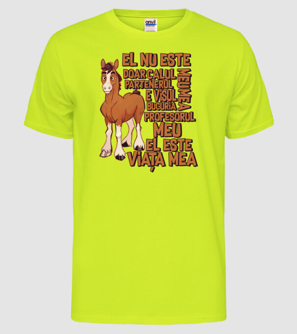 El nu este doar calul meu, e visul meu, partenerul meu, bucuria mea, profesorul meu, el este viața mea model galben neon pe tricou