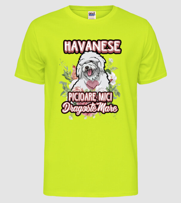 havanese : picioare mici dragoste mare model galben neon pe tricou