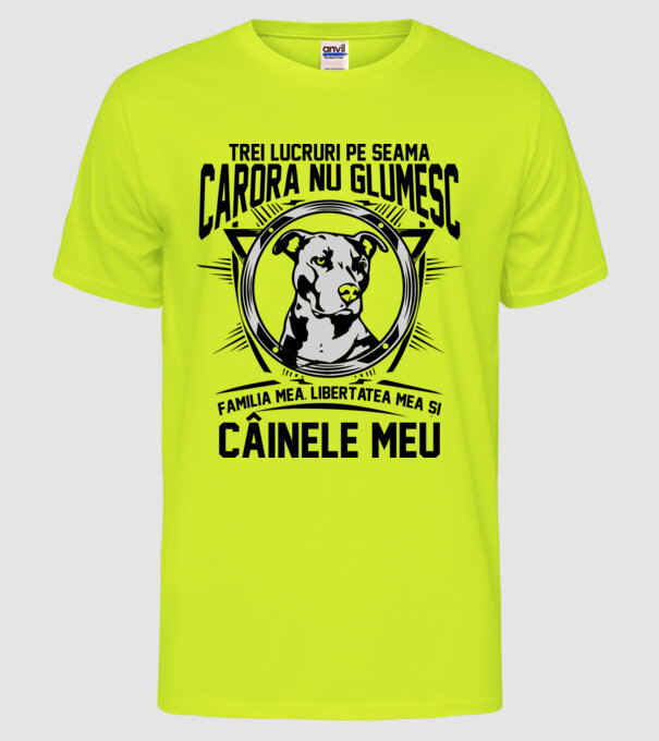 trei lucruri pe seama cărora nu glumesc: familia mea, libertatea mea și câinele meu model galben neon pe tricou
