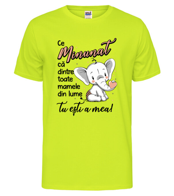  model  pe tricou
