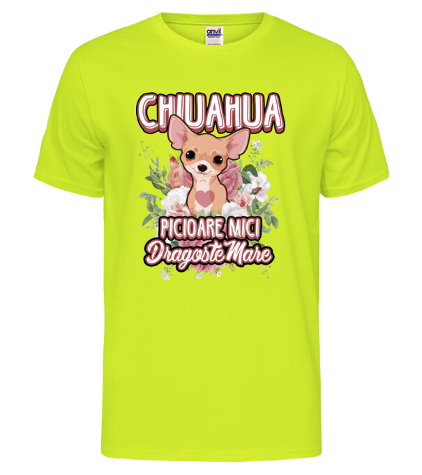  model  pe tricou