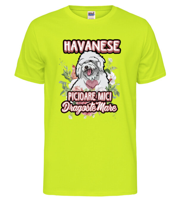  model  pe tricou