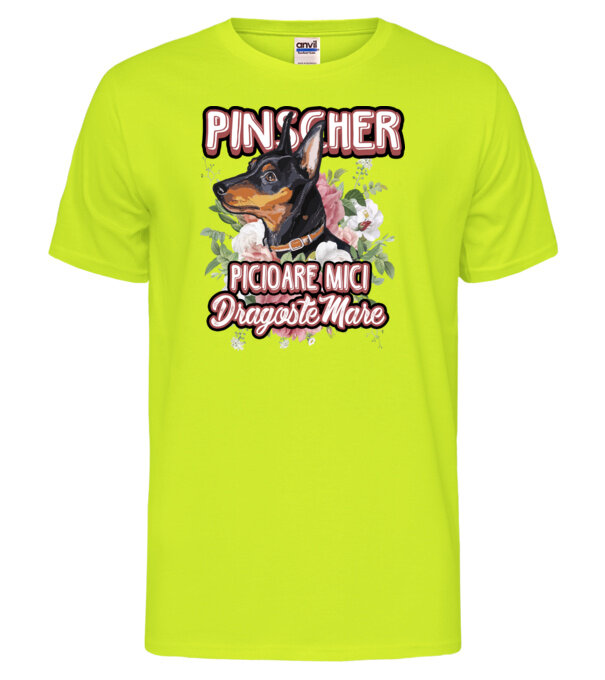  model  pe tricou