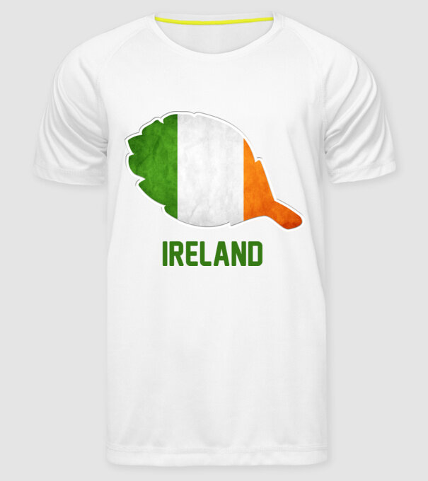 Steag irlandez model alb pe tricou