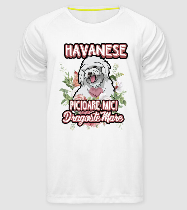 havanese : picioare mici dragoste mare model alb pe tricou