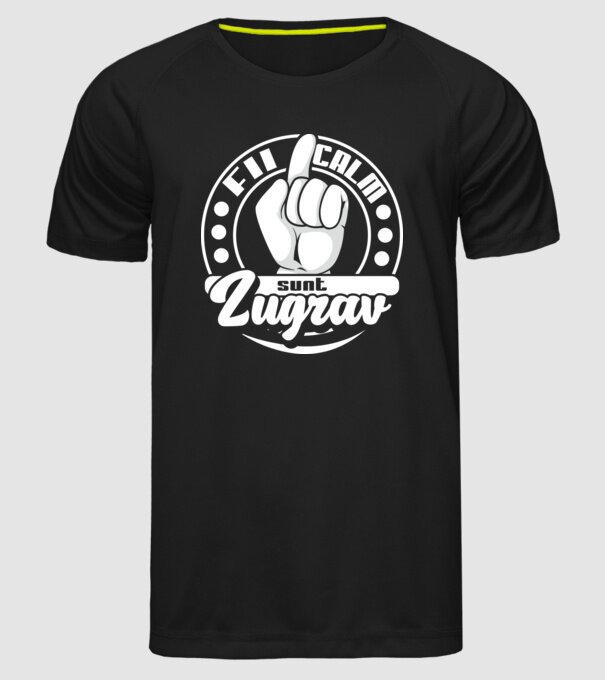 Fii calm... sunt zugrav model negru pe tricou