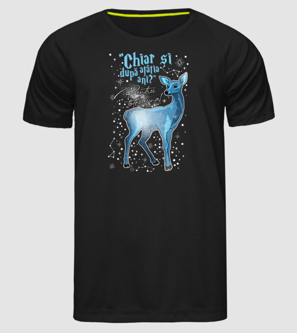 Harry Potter Valentine model negru pe tricou