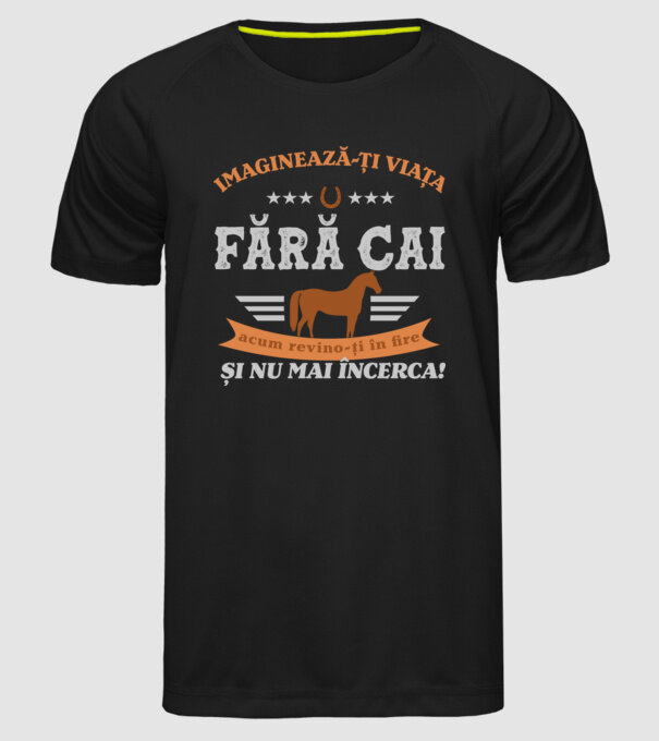 Imaginează-ți viața fără cai, acum revino-ți în fire și nu mai încerca! model negru pe tricou