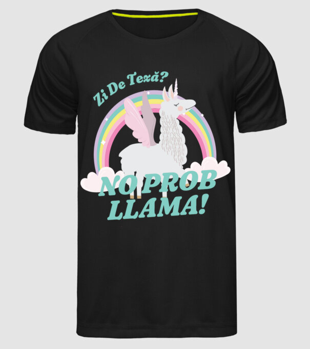 zi de teză? Mai bine mâine... model negru pe tricou