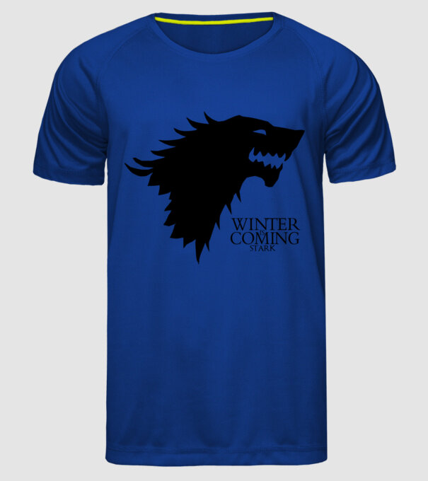 game of thrones winter is coming model albastru regal pe tricou