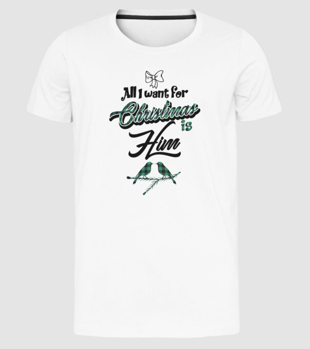 All i want for Christmas is Him model alb pe tricou