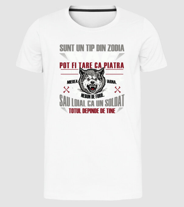 Retro Birthday 1995 model alb pe tricou