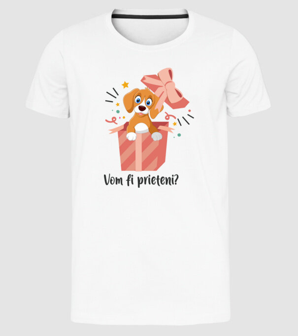 Vom fi prieteni? model alb pe tricou
