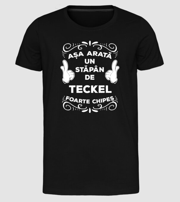 Așa arată un stăpân de Teckel foarte chipeș model negru pe tricou