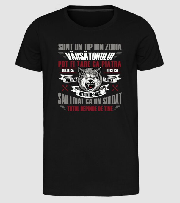 Sunt un tip din zodia Vărsătorului model negru pe tricou