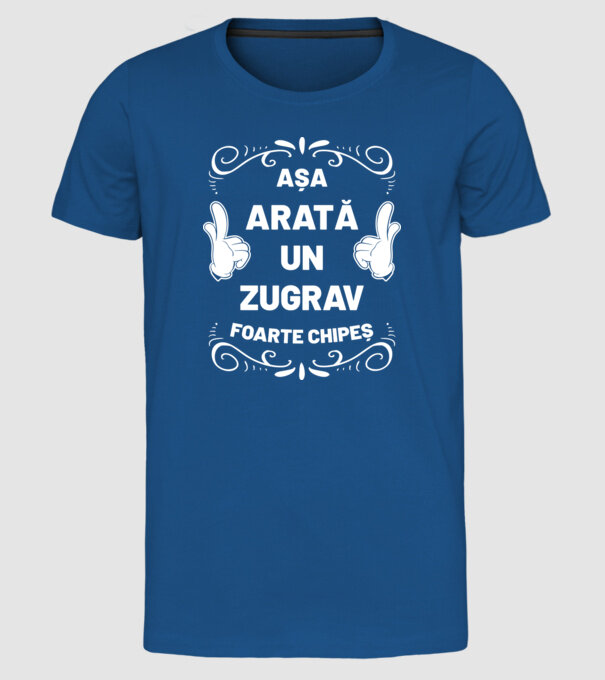 Așa arată un zugrav foarte chipeș model albastru regal pe tricou