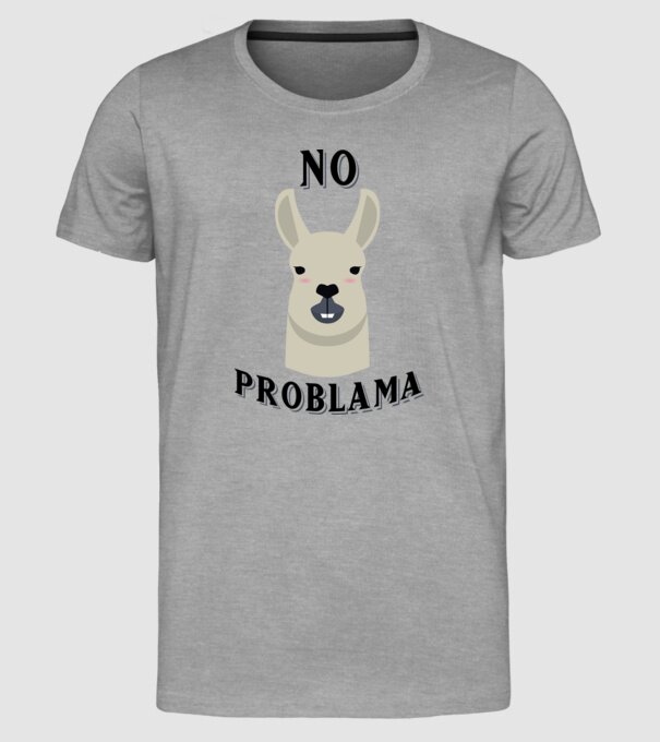 No problama model gri pe tricou