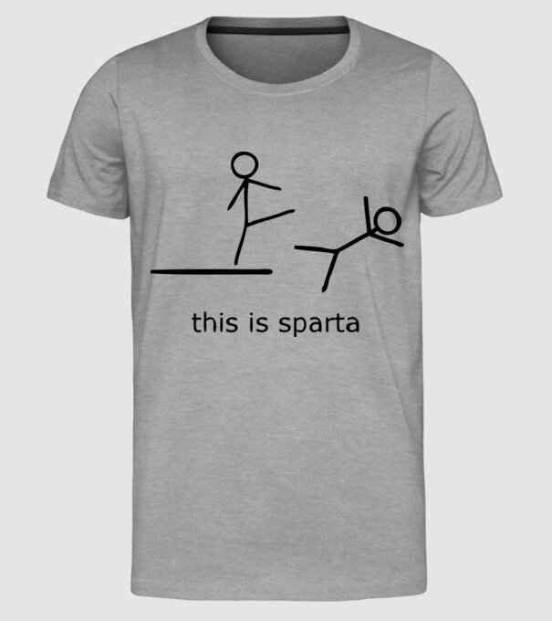 this is sparta model gri pe tricou