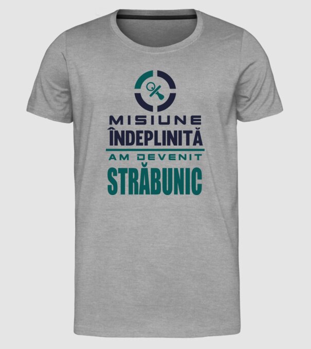 misiune îndeplinită - am devenit străbunic model gri pe tricou