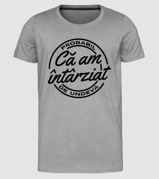 Probabil că am întârziat de undeva model gri pe tricou