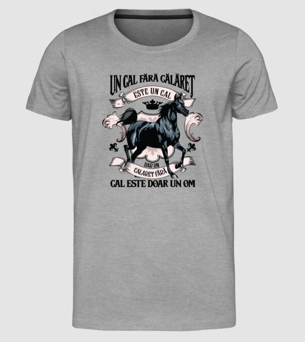 un cal fără călăreț este un cal - dar un călăreț fără cal este doar un om model gri pe tricou