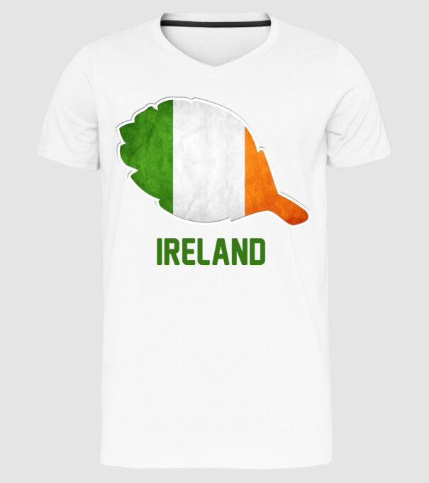 Steag irlandez model alb pe tricou