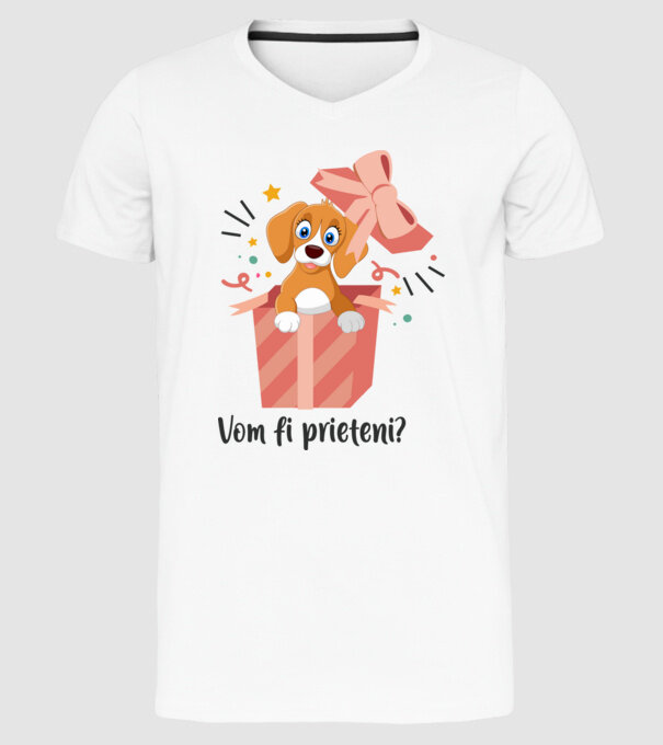 Vom fi prieteni? model alb pe tricou