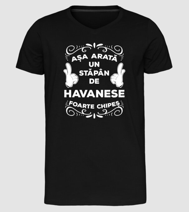 Așa arată un stăpân de Havanese foarte chipeș model negru pe tricou
