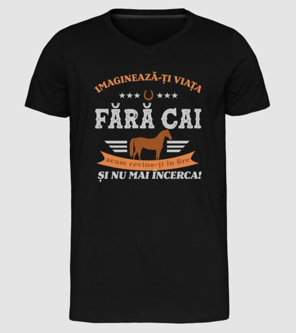 Imaginează-ți viața fără cai, acum revino-ți în fire și nu mai încerca! model negru pe tricou