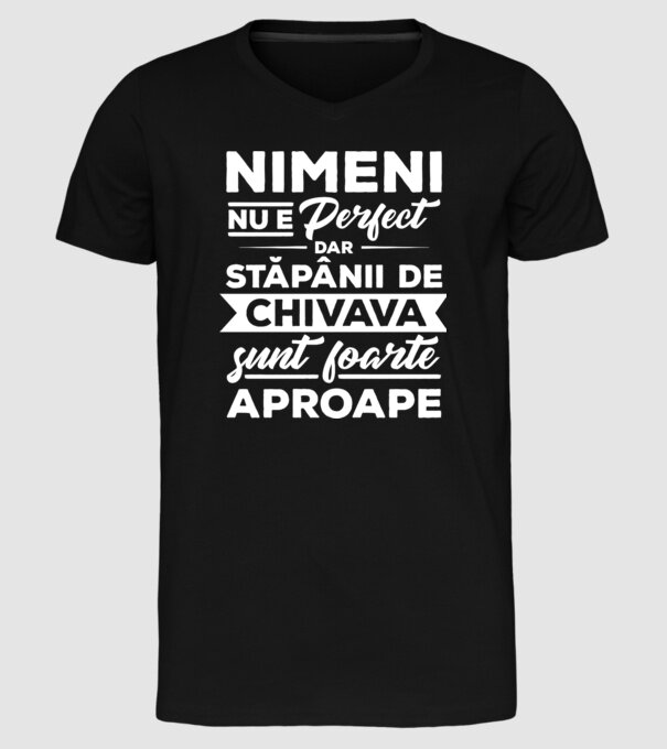 nimeni nu e perfect, dar stăpânii de chivava sunt foarte aproape model negru pe tricou
