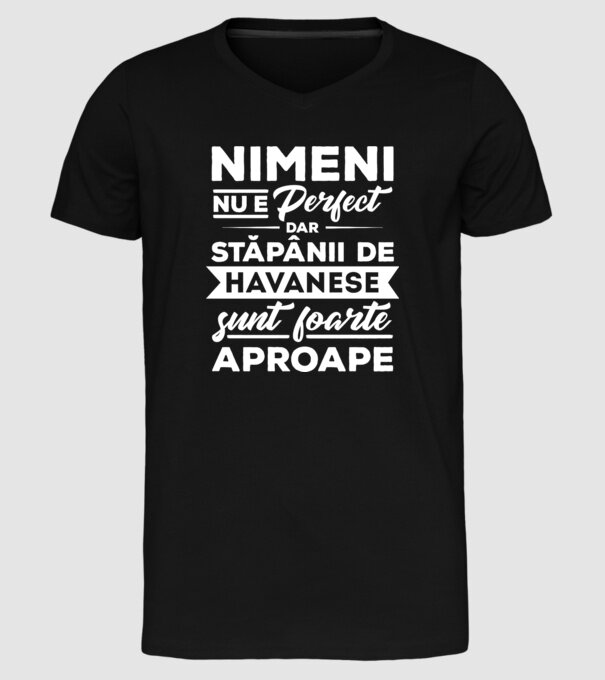 nimeni nu e perfect, dar stăpânii de havanese sunt foarte aproape model negru pe tricou