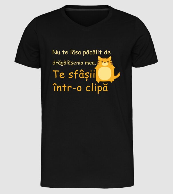 nu te lăsa păcălit de drăgălășenia mea. te sfâșii într-o clipă model negru pe tricou
