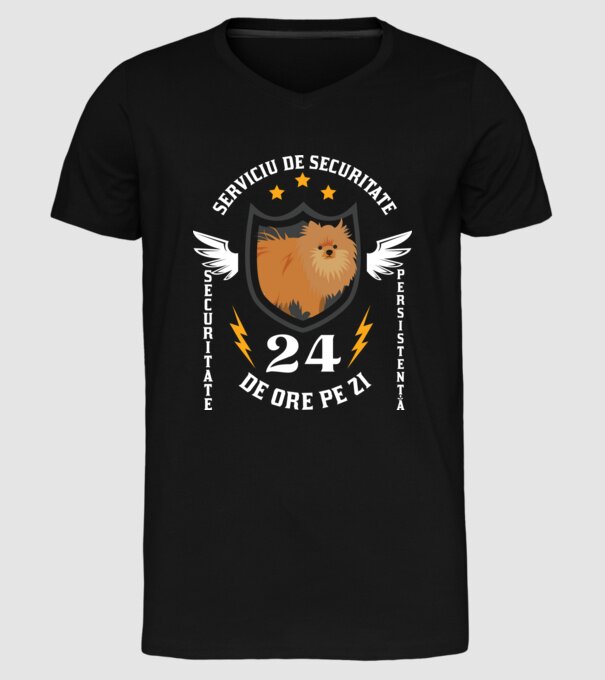 serviciu de securitate - securitate - persistență - 24 de ore pe zi model negru pe tricou