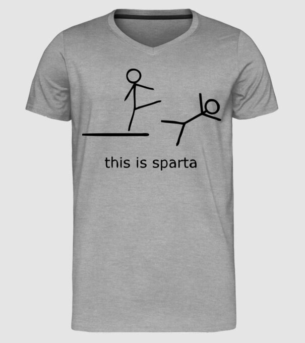 this is sparta model gri pe tricou
