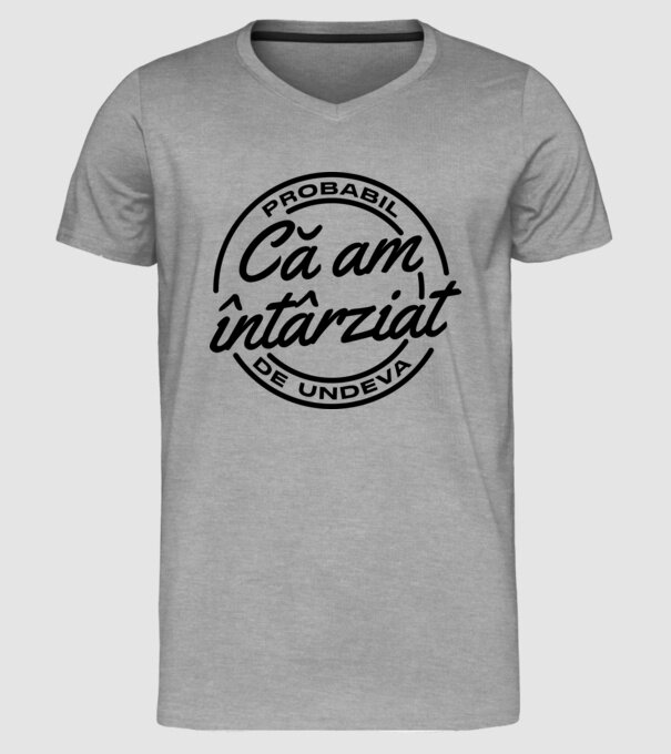Probabil că am întârziat de undeva model gri pe tricou