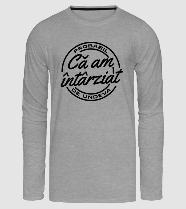 Probabil că am întârziat de undeva model gri pe tricou